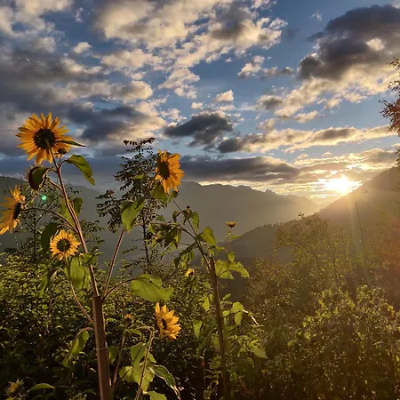 Kollreiderhof Ferienhaus Anras