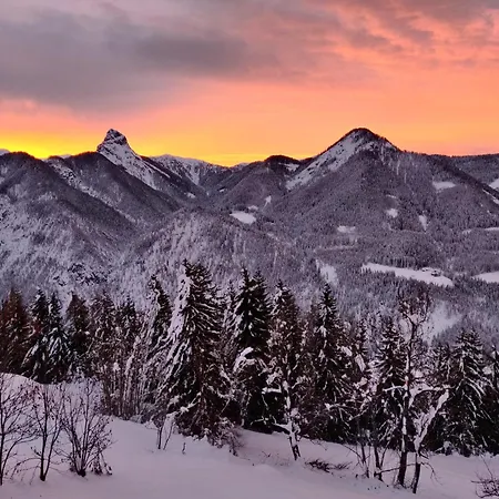 Kollreiderhof Dom wakacyjny *